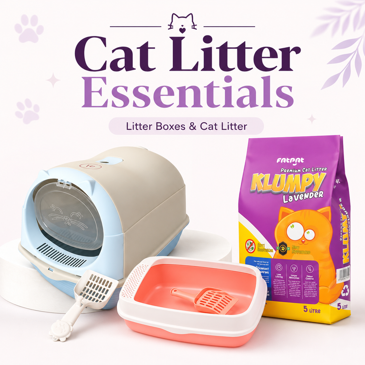 Cat Litter, Trays & Accessories