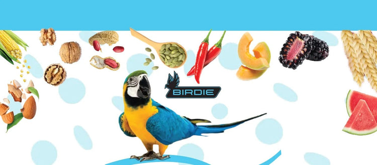 Birdie Bird Food
