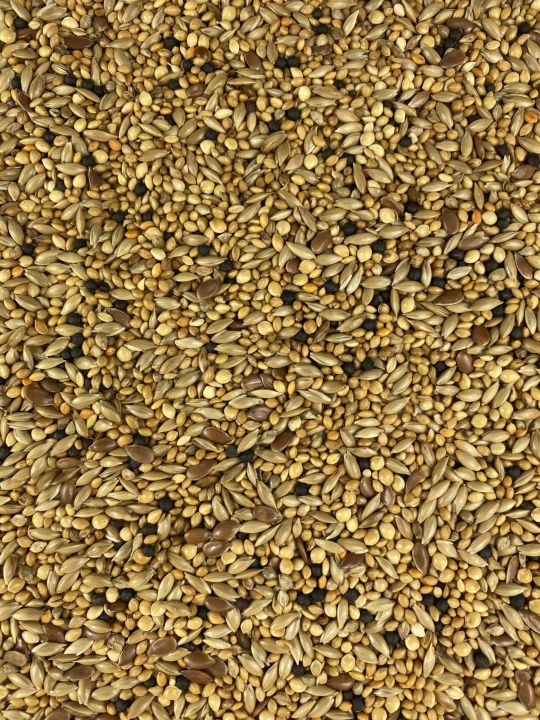 Small bird seed mix