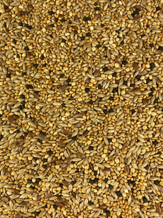 Small bird seed mix