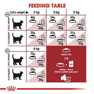 Regular Fit Cat Food Indoor 400g