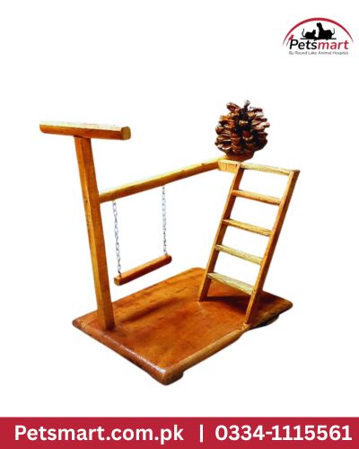 Bird swing ladder stand