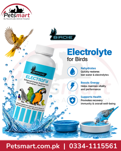birdie-electrify-electrolyte-supplement-birds-350ml-main-webp

Birdie Electrify electrolyte and energy supplement for birds 350ml