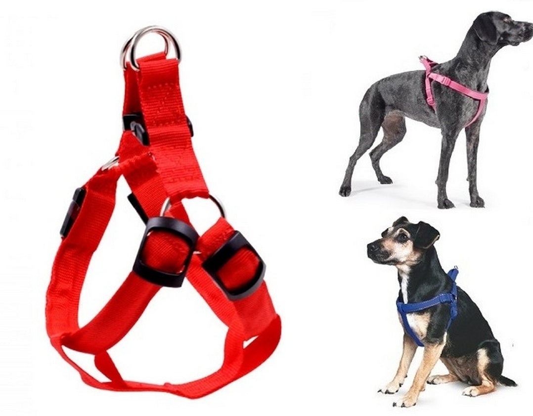 Dog Body Harness With Leash (EX-Large) - Red