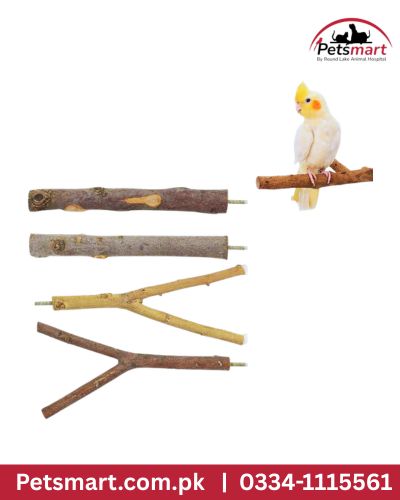Bird wing nut natural perch 12 inch