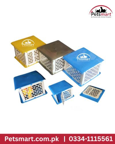Bird plastic carry box