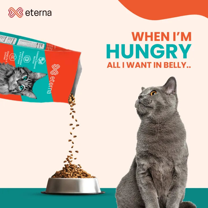 Eterna Premium Pet Food for Cats 1kg