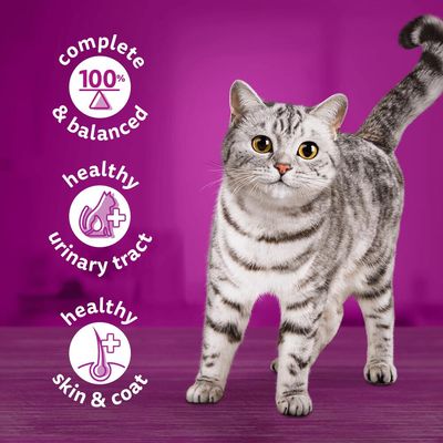 Whiskas 1+ Poultry Feasts in Jelly – 85g