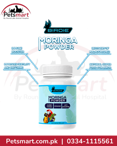 A bottle of Birdie Moringa Powder supplement by Petshome, shown on a white background with marketing text and arrows pointing to benefits like immune booster and recovery support. The Petshmart logo and contact details are visible.
