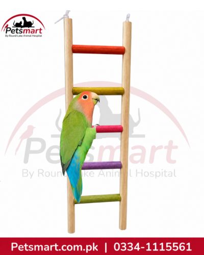 5-step colourful wooden bird ladder measuring 8.5 by 27cm for pet bird cages