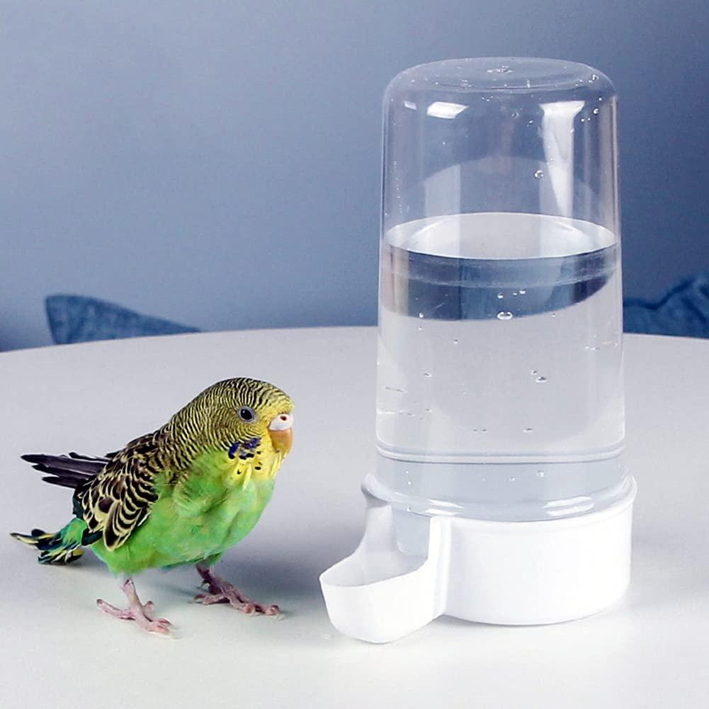 Bird feed/water dispener large