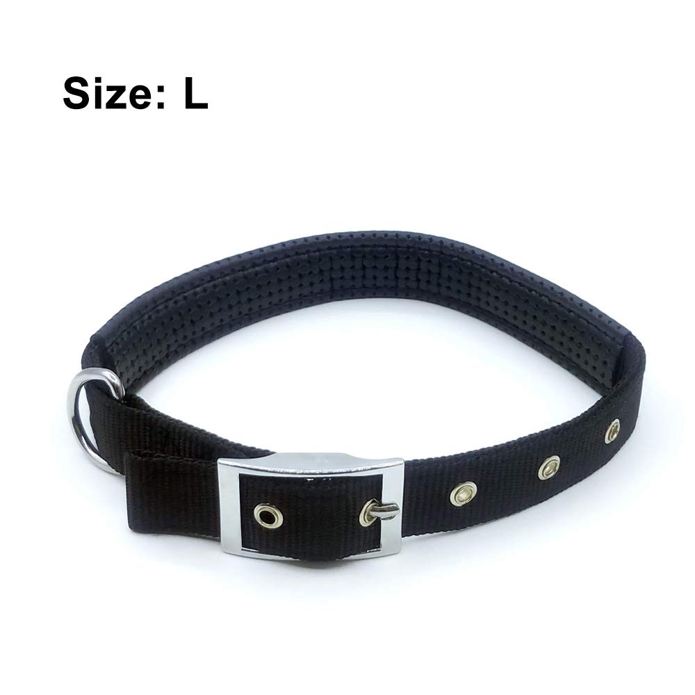 Black Leather Collar Imp (Large)