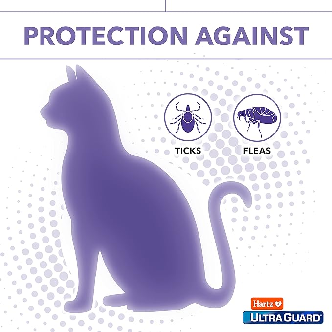 HARTZ FLEA TICK KITTEN CAT COLLAR (48X1)