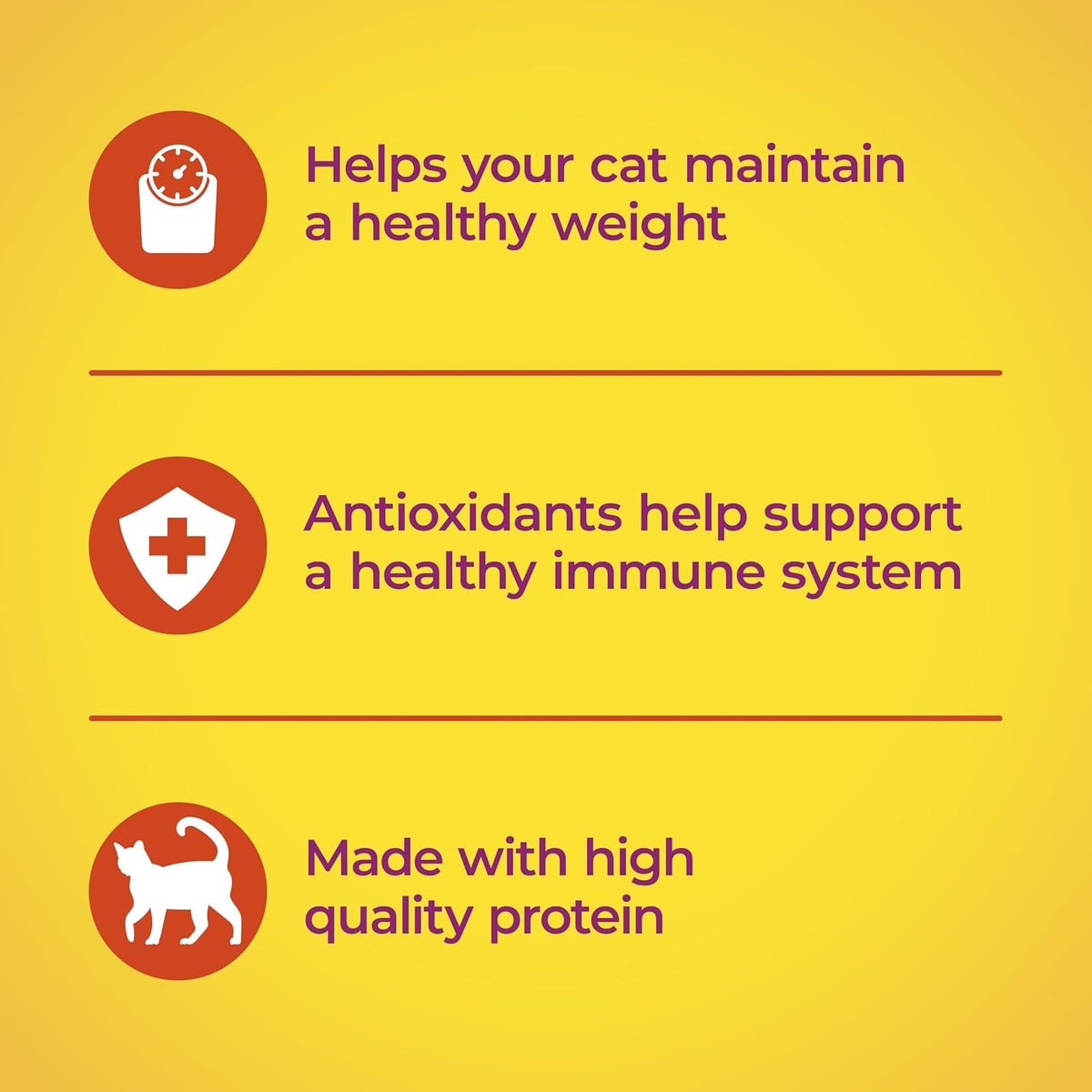 Meow Mix Indoor Health Dry Cat Food – 1.42kg