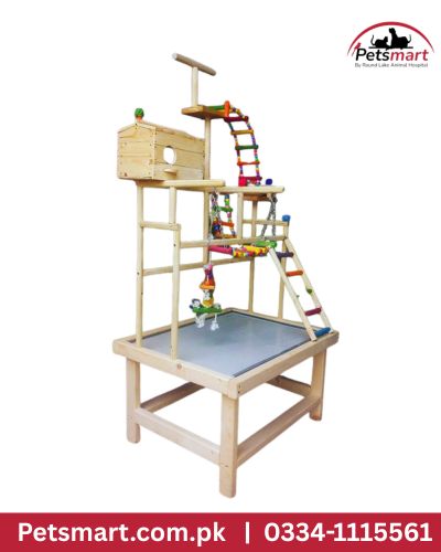 BIRD Colorful Ladder Stand