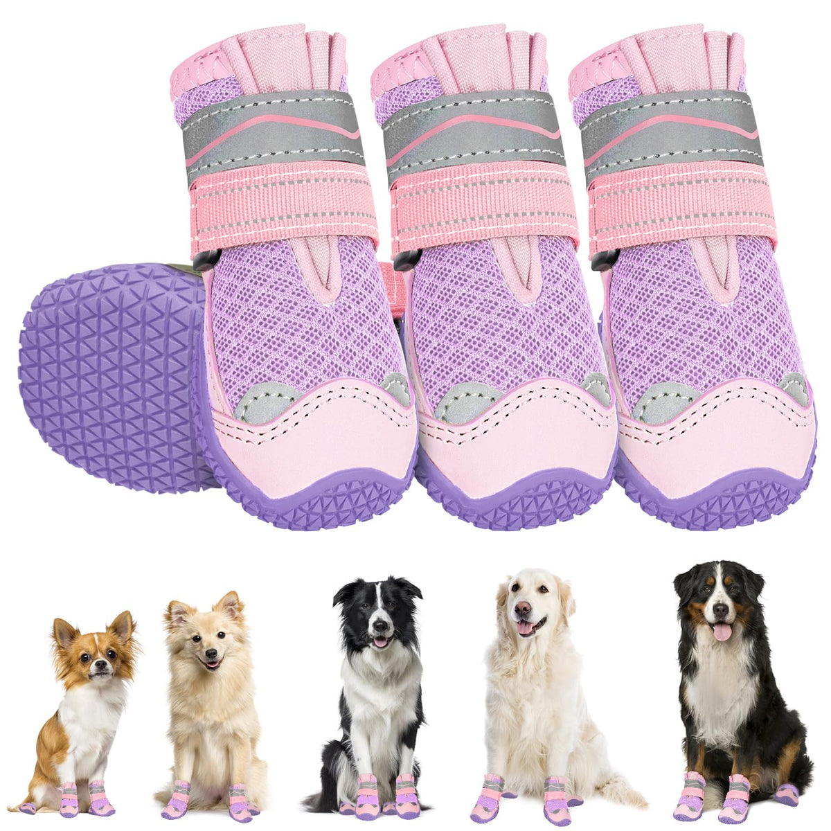 Dog shoes