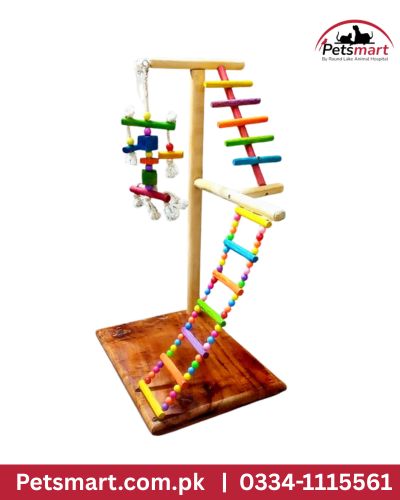Bird colorful ladder stand