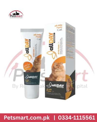 All Day Mix Paste