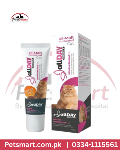 Allday anti hairball 100g