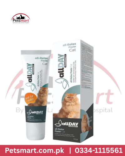 All Day Cat Multivitamin Paste 100