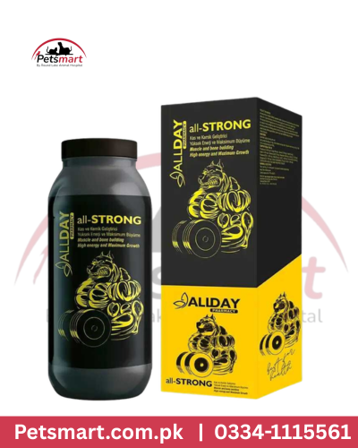 Allday muscle and bone builder