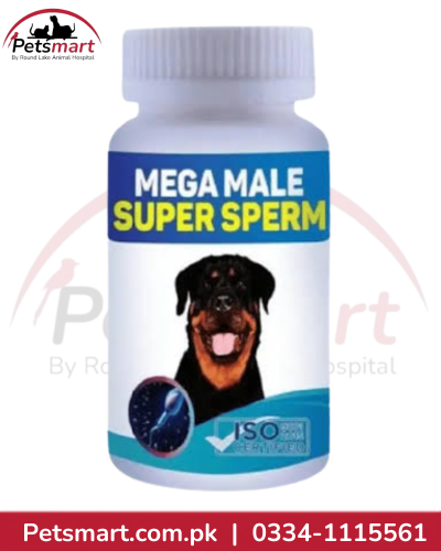 Alpha Pet Products A-MI-31 Mega Male Super Sperm nutritional supplement for stud male dogs