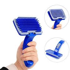 BLUE BOTTON BRUSH LARGE