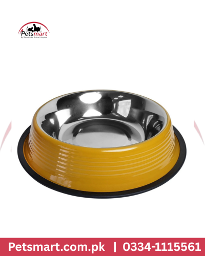 Yellow color Bowl for Dogs