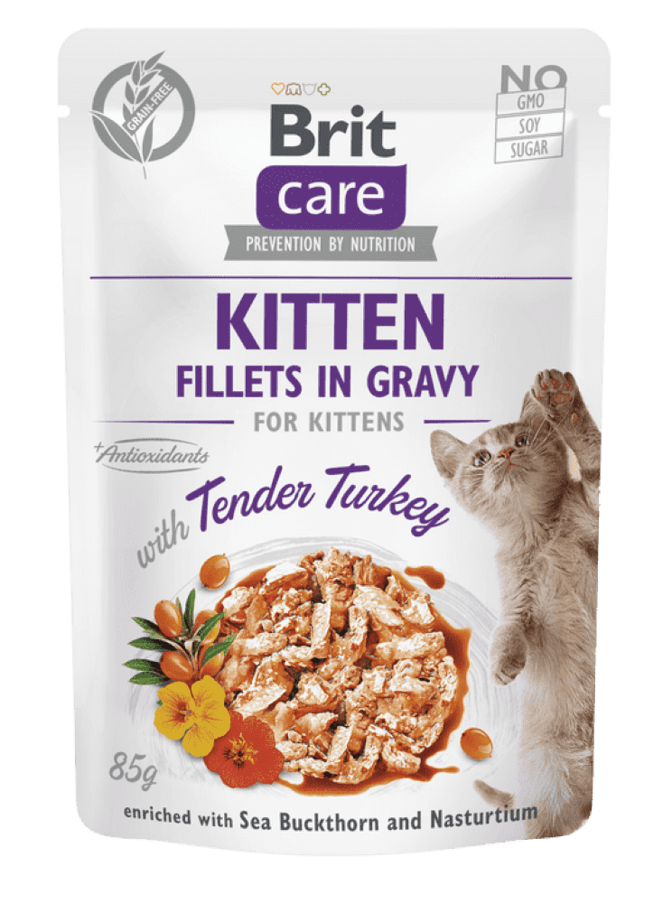 BRIT CARE GRAVY WITH TENDER TURKEY 85 GM