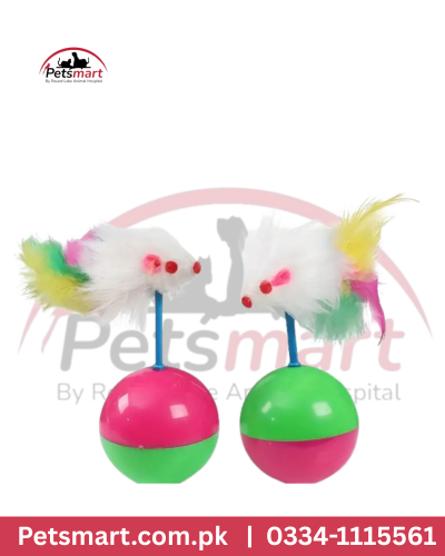 Ball with mouse toy