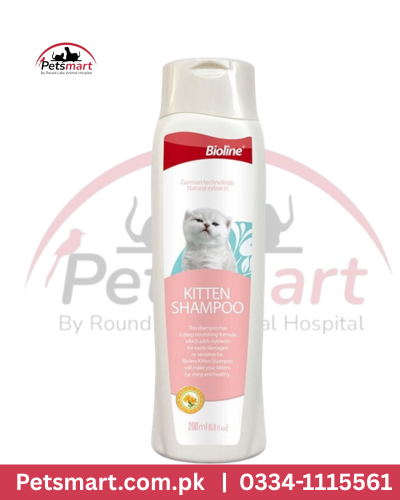 Bioline kittens shampoo