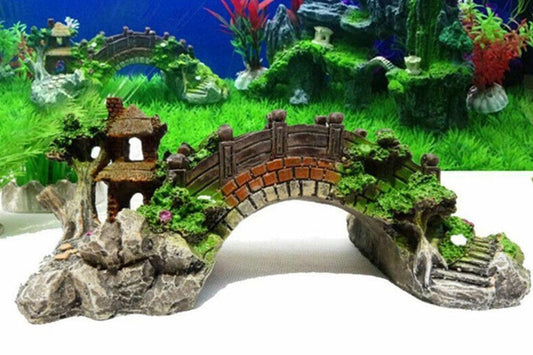 Bridge M For fish Aqureium
