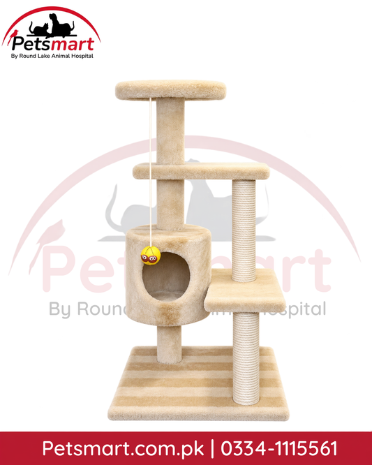 Multi-Level Cat Scratcher Post