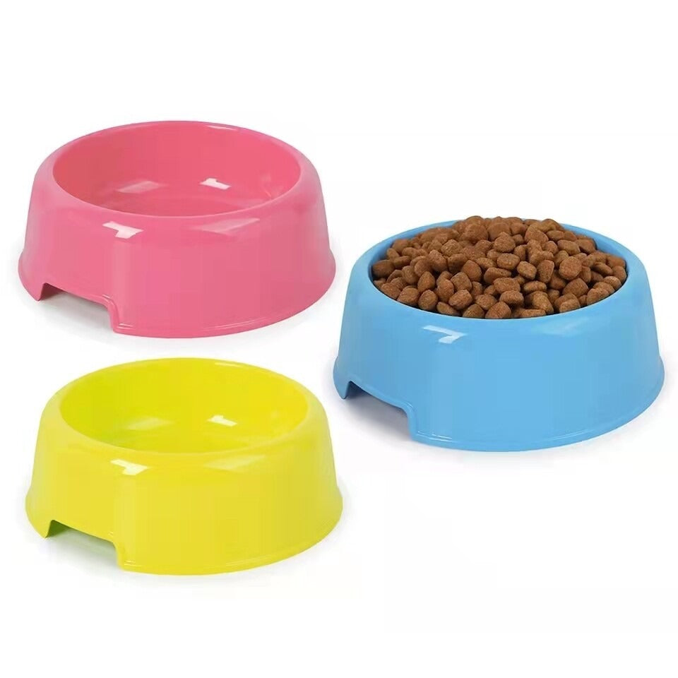 CAT BOWL SINGLE
