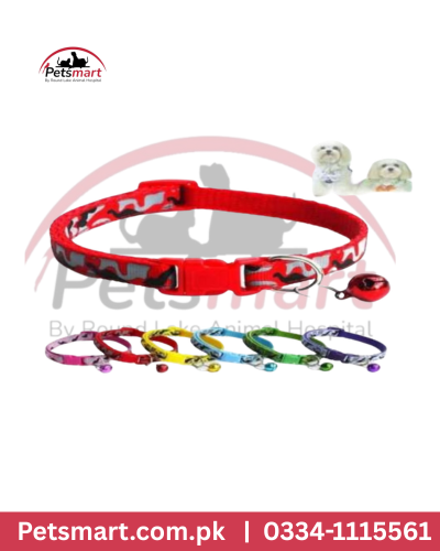 Cat collar big
