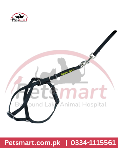 Cat Leash + Harness