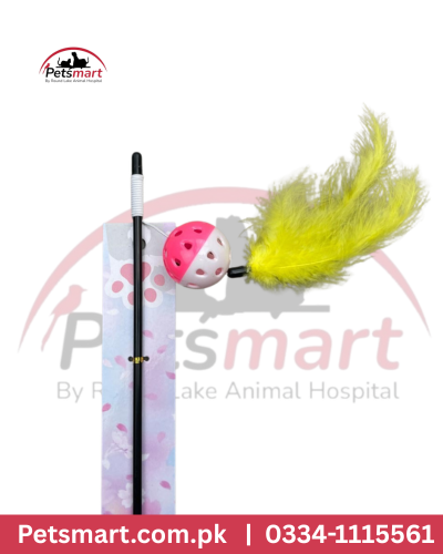 Cat Ring toy with stick