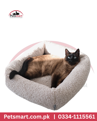 Cat bed