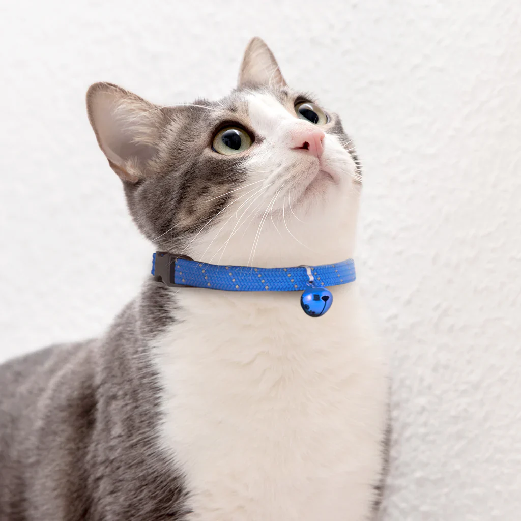 Cat collar
