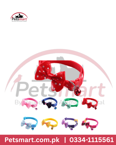 Cat collar with bow
