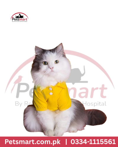 Cat dresses Medium