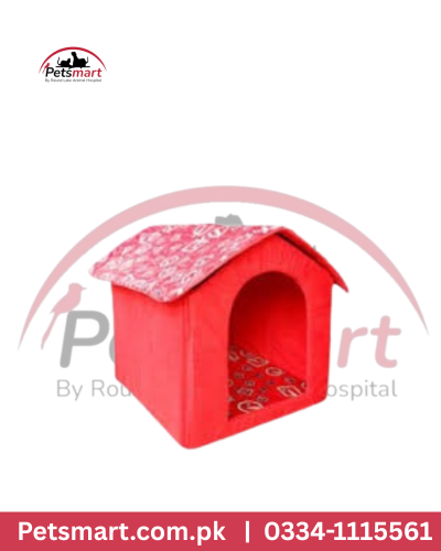 Cat house X