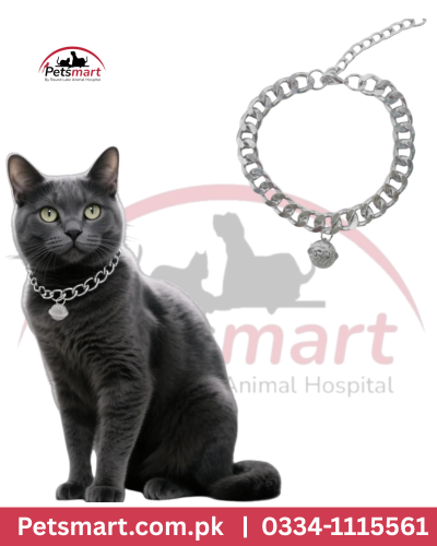 Chain collar for cats