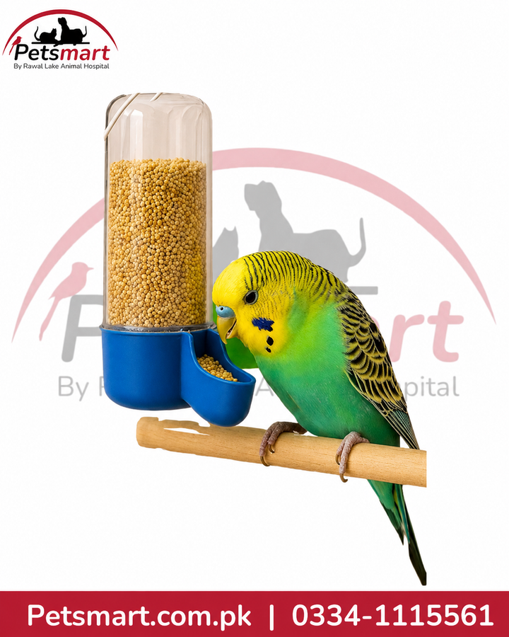 Tall Bird Food & Water Dispenser – Cage-Mount Plastic Feeder