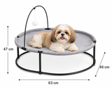 Elevated All-Season Pet Bed with Hanging Toy for Cats and Small Dogs