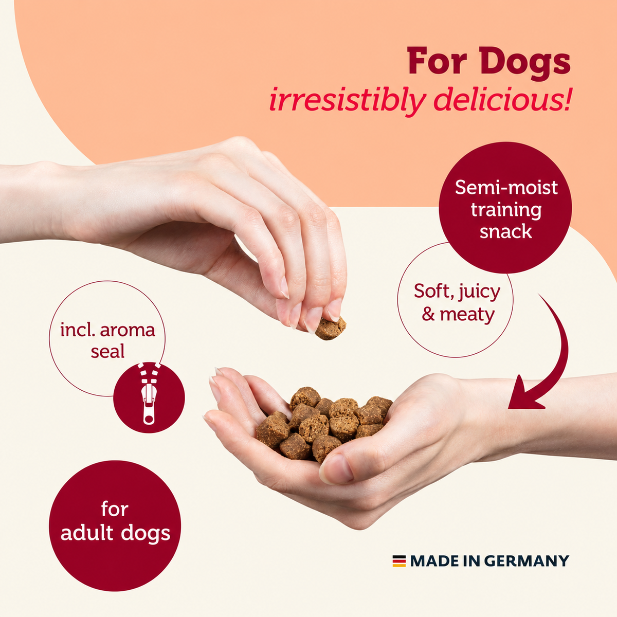 Mera Snacker Insect Soft Dog Treats – 200g