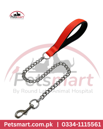 Heavy chain Leash