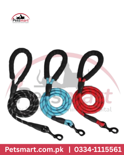 Round rope Leash