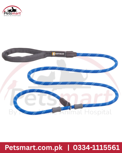 Blue leash