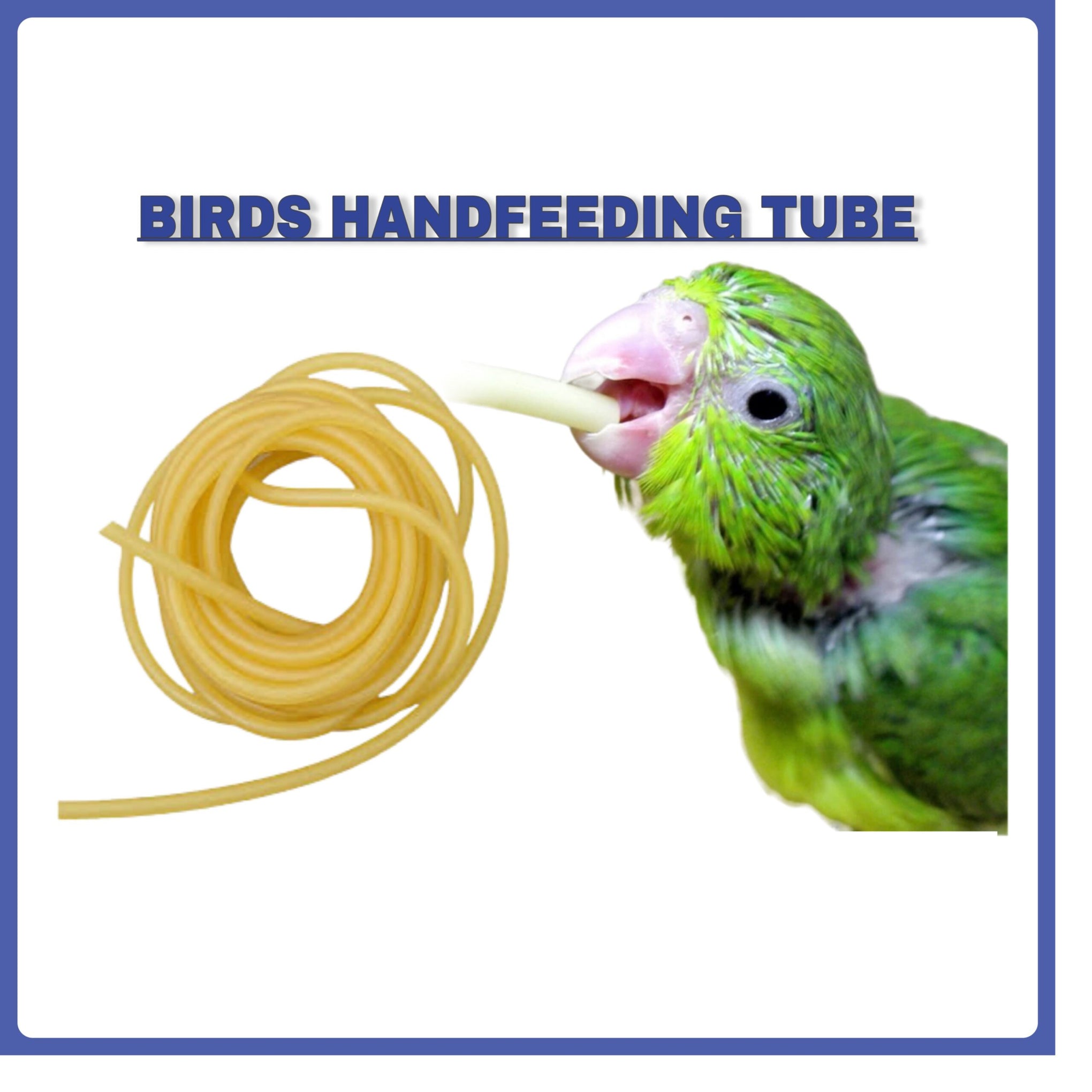 Feeding tube silicon for Birds